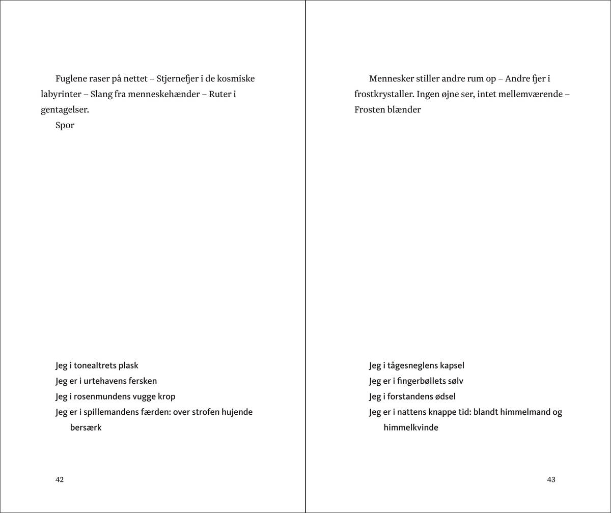 6_s.42.jpg